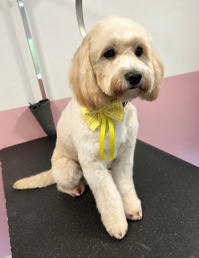 Bark & Bloom Dog Grooming