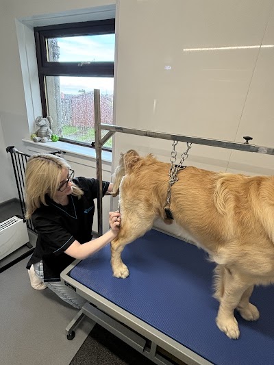 Grooming Van Image