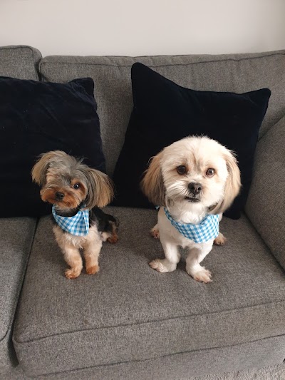 Grooming Van Image