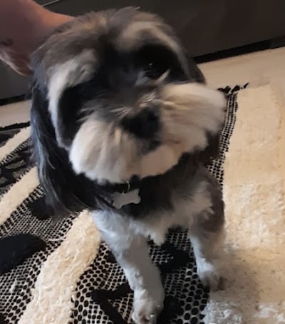 Grooming Van Image