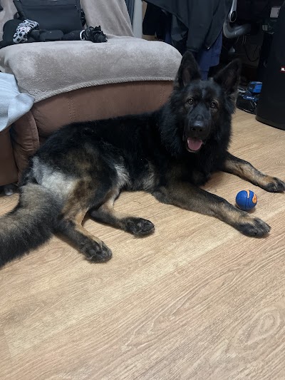 Grooming Van Image