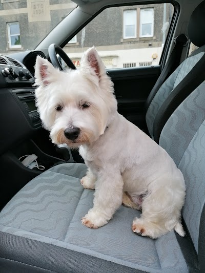 Bobtails Dog Grooming