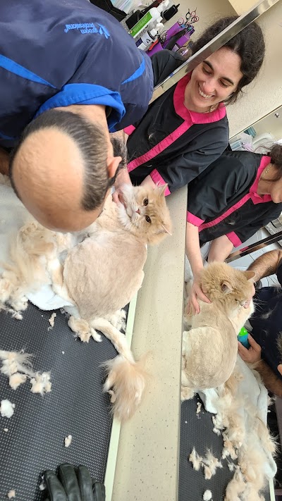 Grooming Van Image