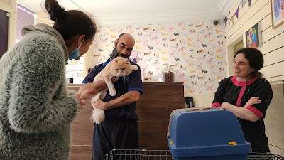 Grooming Van Image