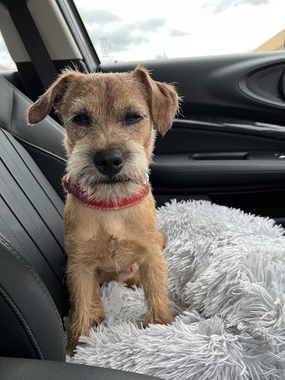 Grooming Van Image