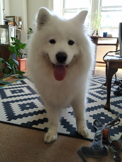 Grooming Van Image