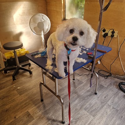 Grooming Van Image