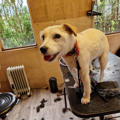 Grooming Van Image