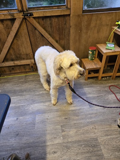 Grooming Van Image