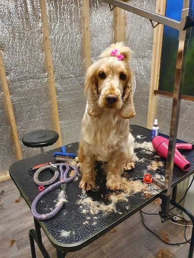 Grooming Van Image