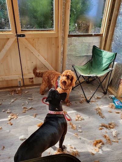 Grooming Van Image