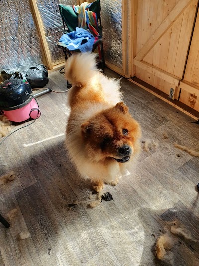 Grooming Van Image