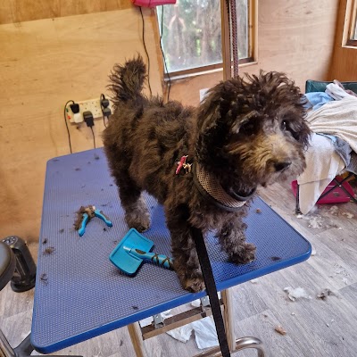 Grooming Van Image