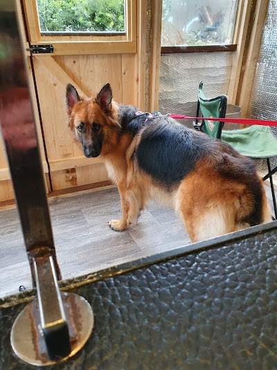 Grooming Van Image