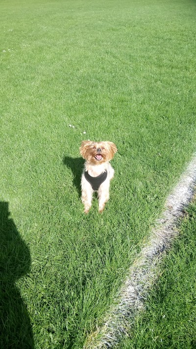 Centre Barks