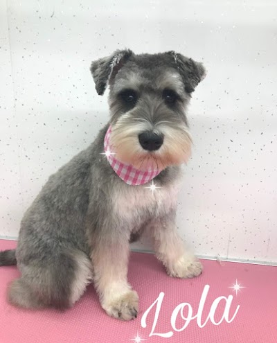Grooming Van Image