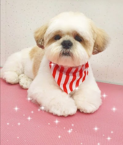 Grooming Van Image