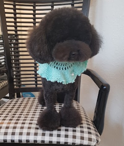 Grooming Van Image
