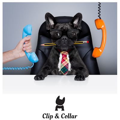 Grooming Van Image