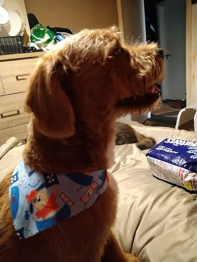 Grooming Van Image