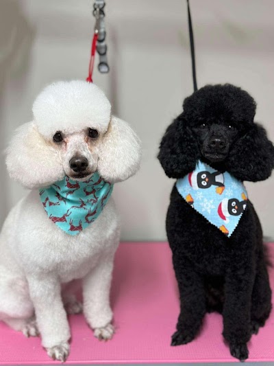 Grooming Van Image