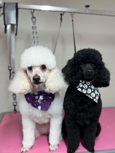 Grooming Van Image