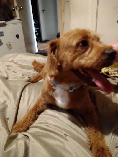 Coco’s Groom Room