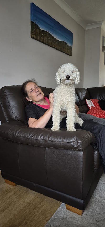 Currie Dog Grooming