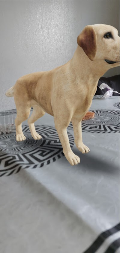 Grooming Van Image