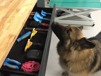 Grooming Van Image