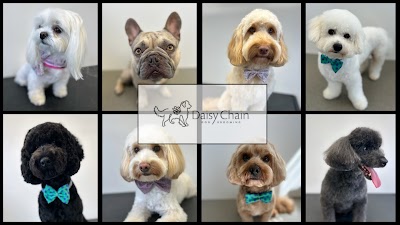 Grooming Van Image