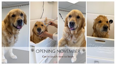 Daisy Chain Dog Grooming
