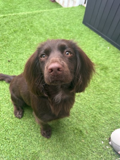 Grooming Van Image