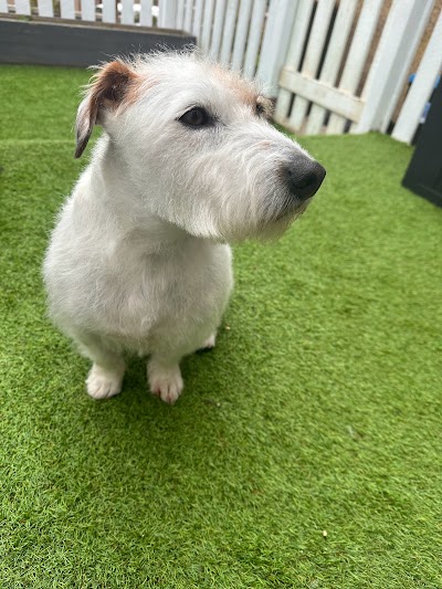 Grooming Van Image