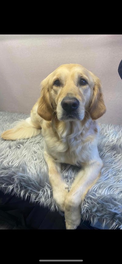 Grooming Van Image