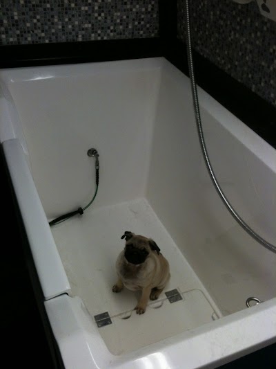 Grooming Van Image