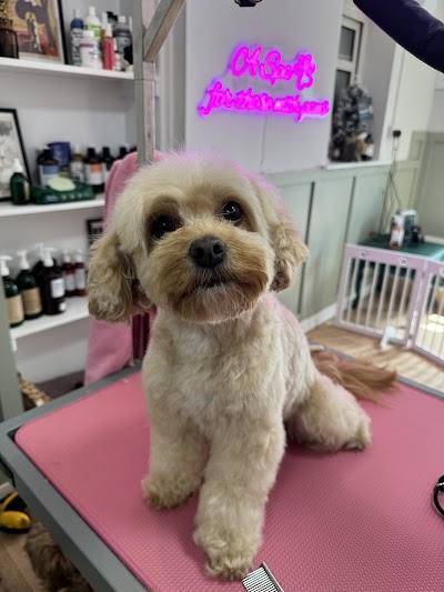 Grooming Van Image