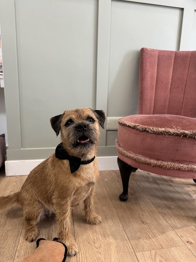 Grooming Van Image