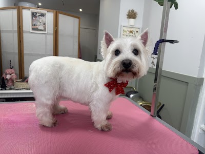 Grooming Van Image