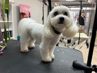 Grooming Van Image