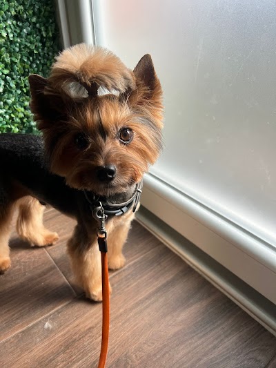 Grooming Van Image