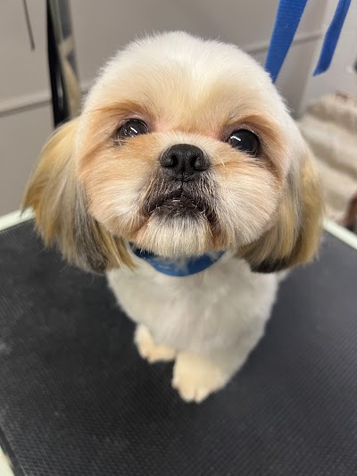 Grooming Van Image