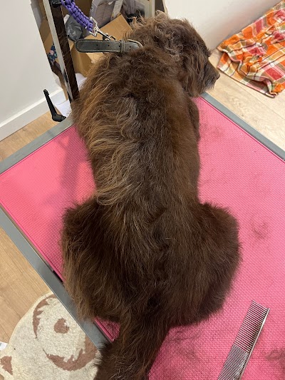 Grooming Van Image