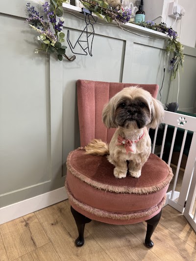 Doggie Mammasita Dog Grooming