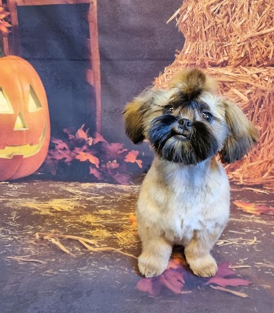 Grooming Van Image