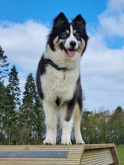 Grooming Van Image