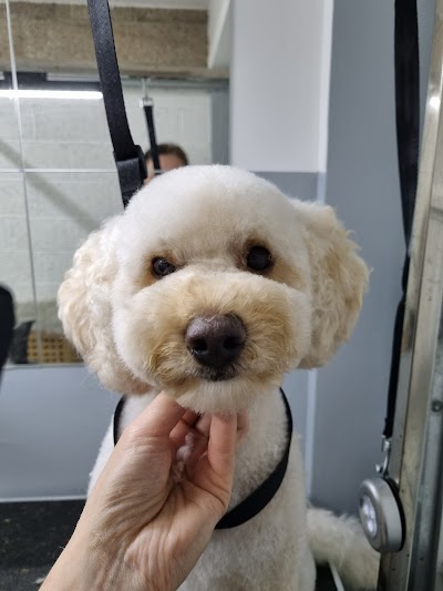 Grooming Van Image