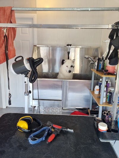 Grooming Van Image