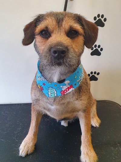Grooming Van Image