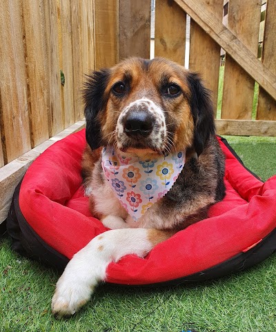 Grooming Van Image